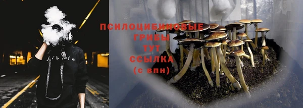 apvp Баксан