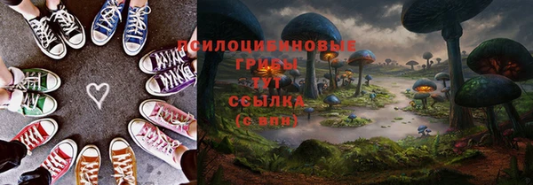 стаф Покачи