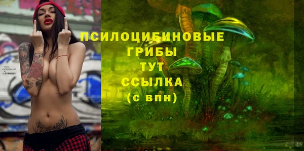 СК Балахна