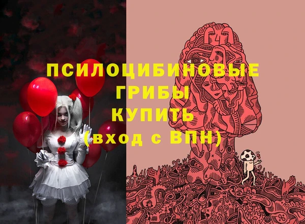 СК Балахна