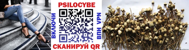 Псилоцибиновые грибы ЛСД  купить   Белоусово 